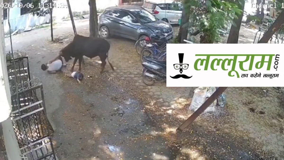 रायपुर में आवारा सांड का आतंक, 15 लोगों पर किया हमला, बुजुर्ग की हालत गंभीर, कांग्रेस नेत्री भी घायल, देखें VIDEO…