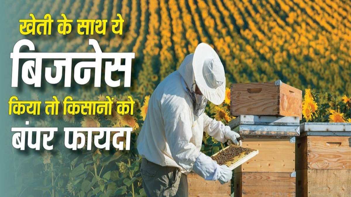Village Business Ideas : किसान घर बैठे शुरू करें ये कारोबार, पैसों की होगी बारिश, Low Investment में Big Profit