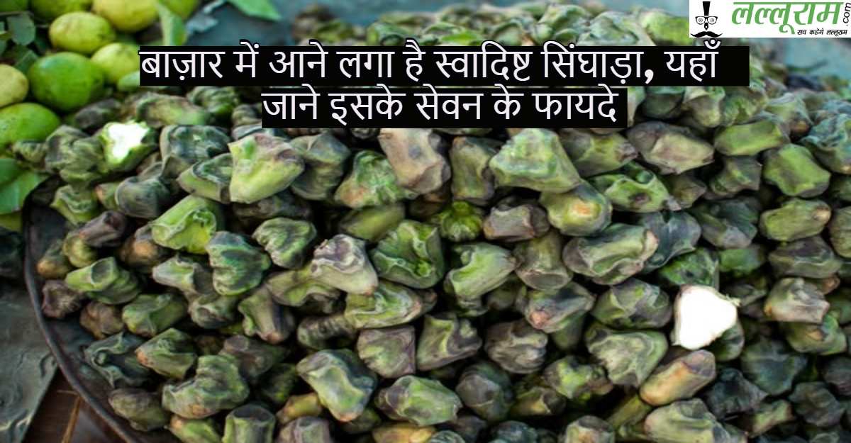 बाज़ार में आने लगा है स्वादिष्ट सिंघाड़ा, यहाँ जाने इसके सेवन के फायदे