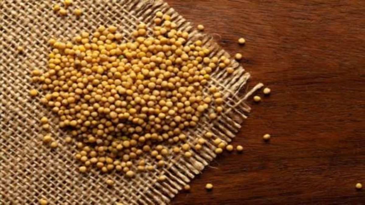 सोमवार का महाउपाय: रोग, कर्ज और संकटों से मिलेगी हमेशा के लिए मुक्ति…