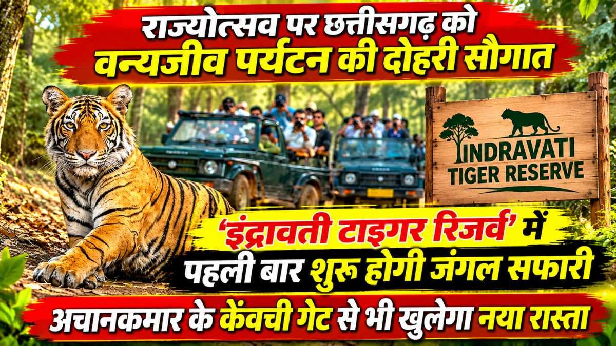 राज्योत्सव पर छत्तीसगढ़ को वन्यजीव पर्यटन की दोहरी सौगात: ITR में पहली बार शुरू होगी जंगल सफारी, अचानकमार के केंवची गेट से भी खुलेगा नया रास्ता, वन मंत्री करेंगे शुभारंभ