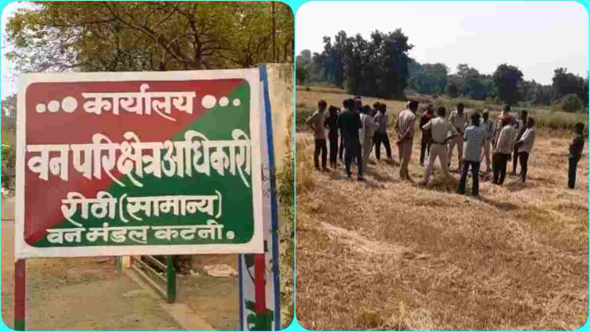 सिंमडारी में किसान के खेत में गड़ा मिला नीलगाय का नवजात, वन विभाग ने शव निकालकर शुरू की जांच