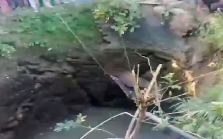 ललितपुर में दिल दहला देने वाला कांड! कुएं में 4 साल के मासूम संग कूदी मां, दोनों की मौत; जानें पूरा मामला