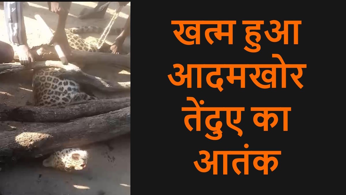 तेंदुए के आतंक का हुआ अंत, 2 दिन में 19 ग्रामीणों को किया था घायल…