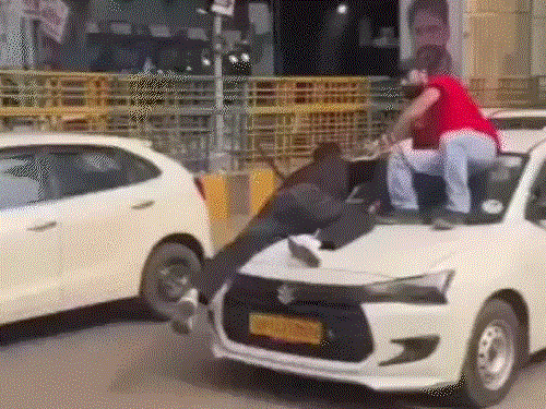 नोएडा की सड़क बनी ‘फास्ट एंड फ्यूरियस’: बोनट पर लटके रहे दो युवक, रफ्तार में दौड़ती रही कार; वीडियो वायरल