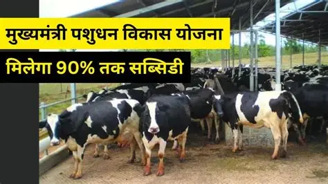 Jharkhand News: पशुधन योजना के लाभुकों को साइबर ठगों से सावधान रहने की सलाह, जल्द खाते में आएगी अनुदान राशि