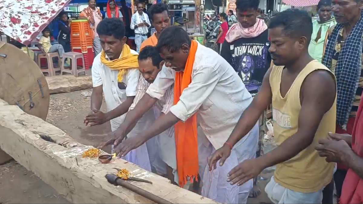 बस्तर दशहरा में मगरमुही रस्म पूरी, मांगुर मछली और बकरे की बलि के साथ विजय रथ के निर्माण ने पकड़ी रफ्तार…