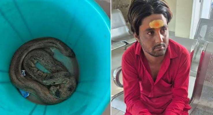 Jharkhand News: रांची में दुर्लभ रेड सैंड बोआ सांप बरामद, हरियाणा का युवक हिरासत में, दो साथी फरार