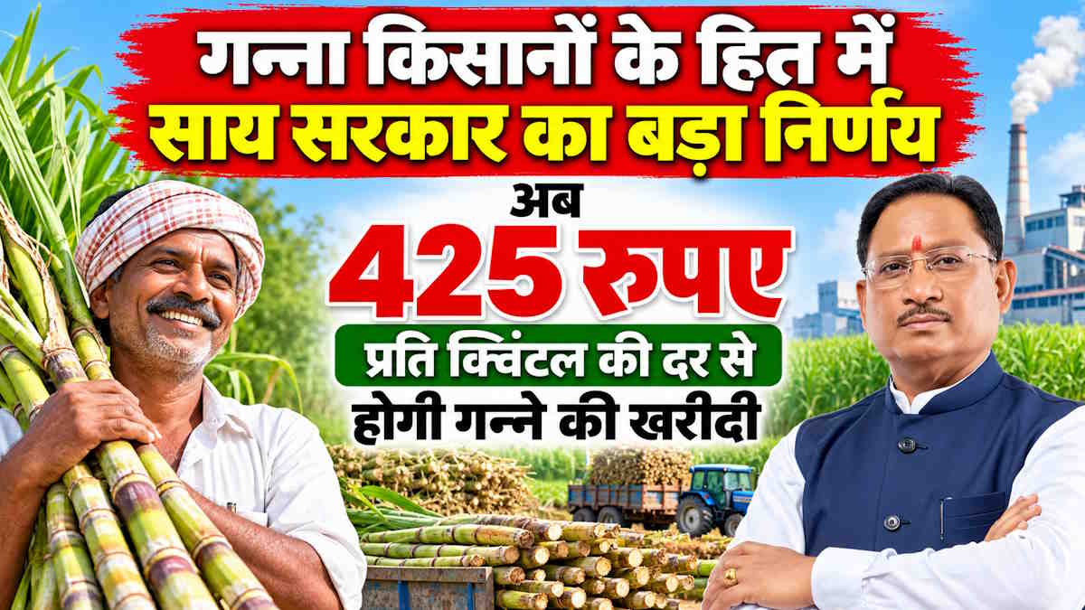 गन्ना किसानों के हित में साय सरकार का बड़ा निर्णय, अब 425 रुपए प्रति क्विंटल की दर से होगी गन्ने की खरीदी