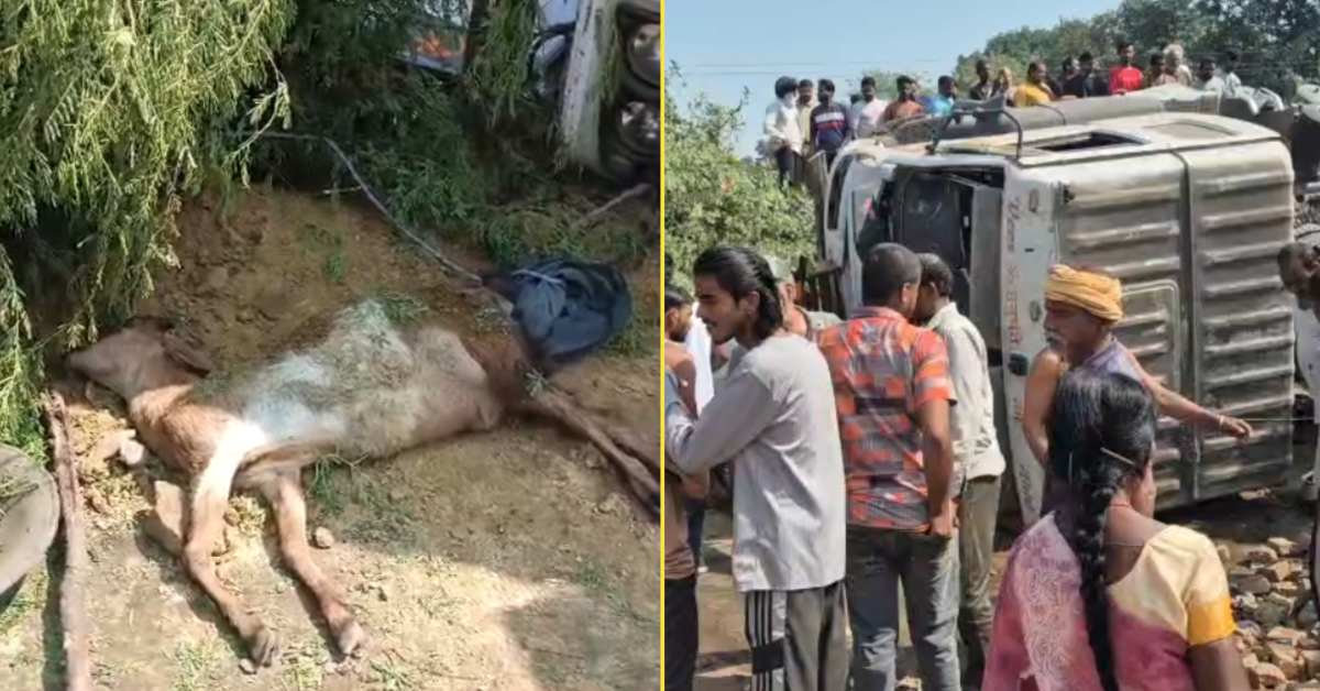 शहडोल में रफ्तार का कहर: स्कॉर्पियो ने ली बाइक सवार की जान, मकान में ट्रक घुसने से मवेशियों की मौत; बाल-बाल बचा परिवार