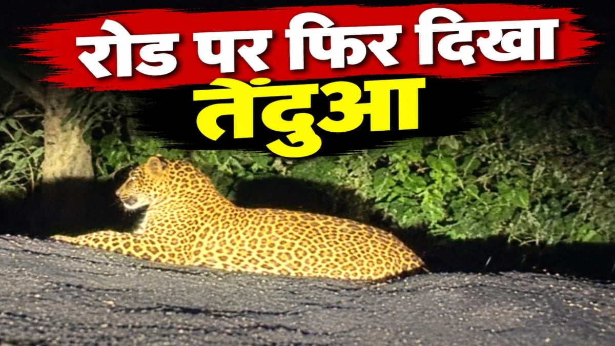 फार्म हाउस के पास दिखा तेंदुआ: ग्रामीणों में दहशत का माहौल, वन विभाग की निगरानी पर उठे सवाल