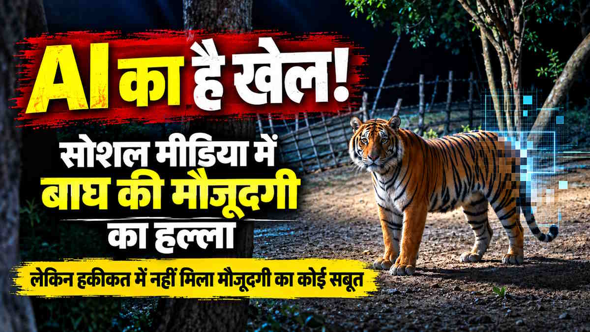 बाघ की मौजूदगी का फोटो सोशल मीडिया पर हो रहा वायरल, डीएफओ ने कहा- अभी तक नहीं मिला कोई फुट प्रिंट, अपुष्ट जानकारी पर विश्वास न करने की अपील…